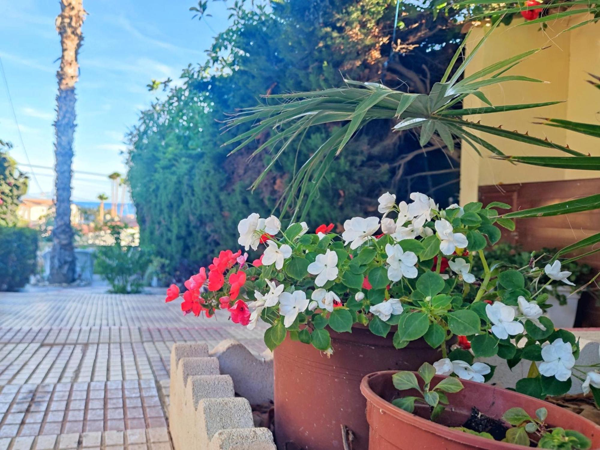 Casona Del Mar Terraza Y Vistas Al Mediterraneo El Campello Exteriör bild